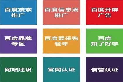 百度SEO推广实战：行业领先企业的成功之道